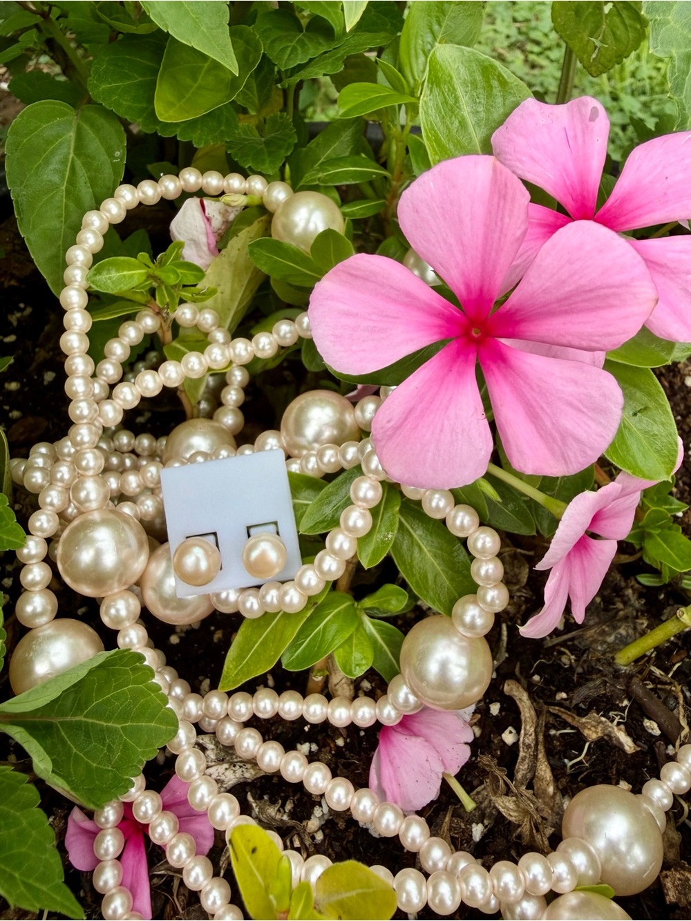 Pearl Button Stud Earrings - Cream Pearl Finish